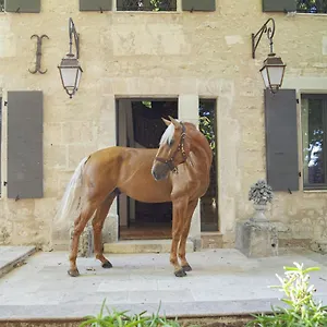 Domaine Cap Rubis Bed & Breakfast
